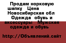 Продам норковую шапку › Цена ­ 2 000 - Новосибирская обл. Одежда, обувь и аксессуары » Мужская одежда и обувь   